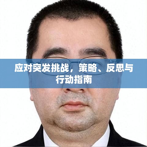 应对突发挑战，策略、反思与行动指南