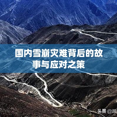 国内雪崩灾难背后的故事与应对之策