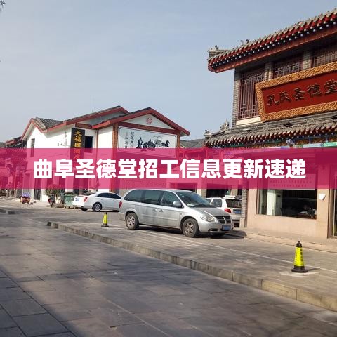 飞鸟依人