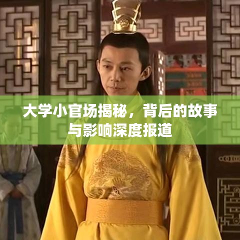 大学小官场揭秘，背后的故事与影响深度报道