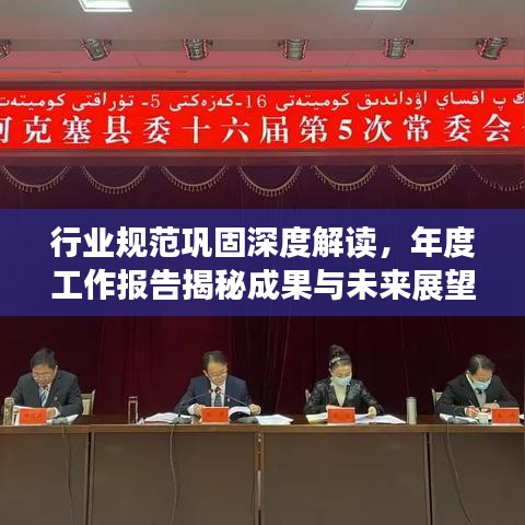 行业规范巩固深度解读，年度工作报告揭秘成果与未来展望