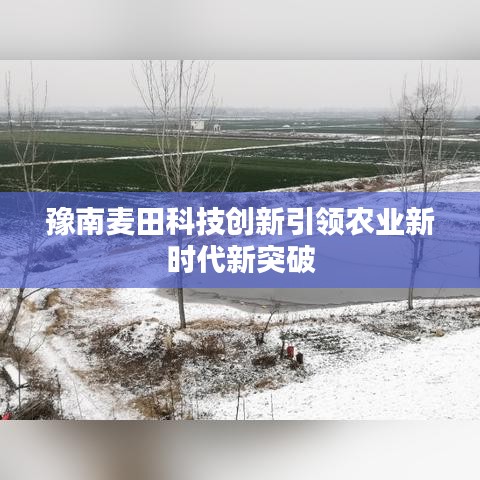 豫南麦田科技创新引领农业新时代新突破