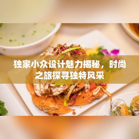独家小众设计魅力揭秘，时尚之旅探寻独特风采