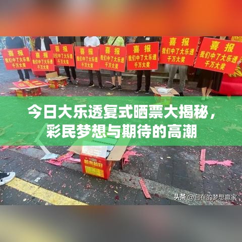 今日大乐透复式晒票大揭秘，彩民梦想与期待的高潮