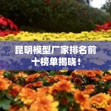 昆明模型厂家排名前十榜单揭晓！
