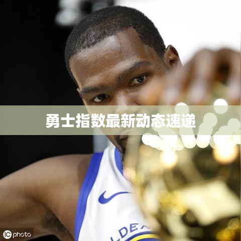 勇士指数最新动态速递