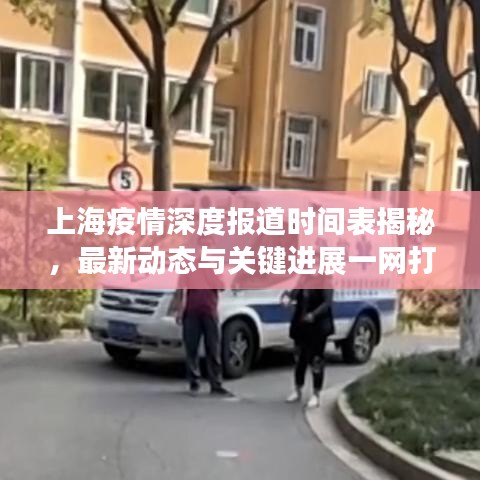 上海疫情深度报道时间表揭秘，最新动态与关键进展一网打尽