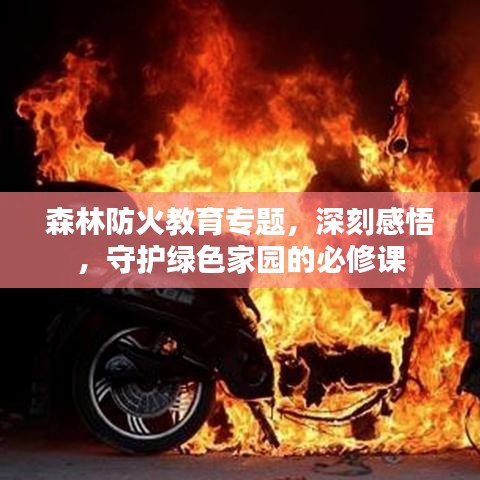 森林防火教育专题，深刻感悟，守护绿色家园的必修课