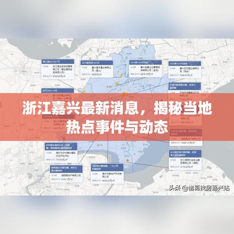 浙江嘉兴最新消息，揭秘当地热点事件与动态