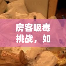 房客吸毒挑战，如何应对与责任担当专题解析