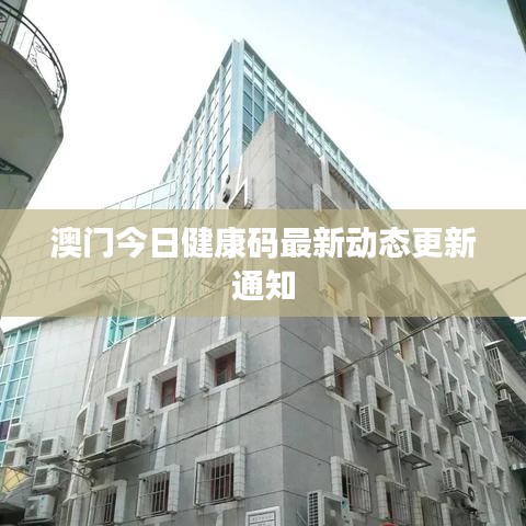 澳门今日健康码最新动态更新通知