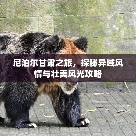 气囊 第13页