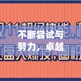 不断尝试与努力，卓越人生的双驱动力