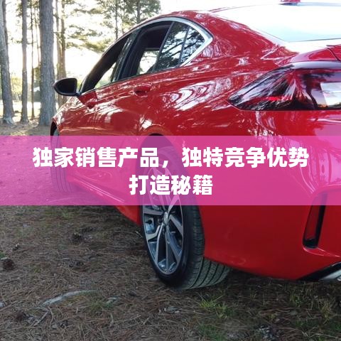 独家销售产品，独特竞争优势打造秘籍