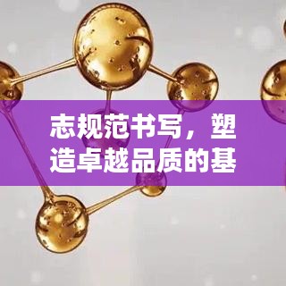 志规范书写，塑造卓越品质的基石