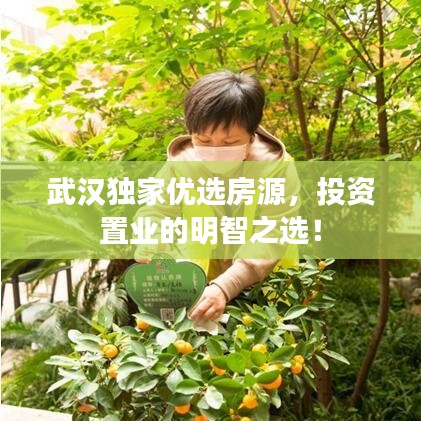 武汉独家优选房源，投资置业的明智之选！