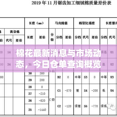 棉花最新消息与市场动态，今日仓单查询概览