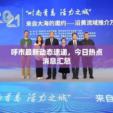 呼市最新动态速递，今日热点消息汇总
