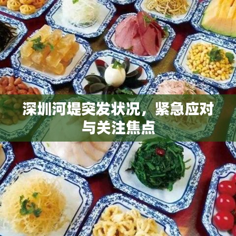 深圳河堤突发状况，紧急应对与关注焦点