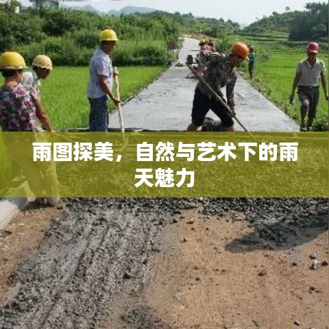雨图探美，自然与艺术下的雨天魅力