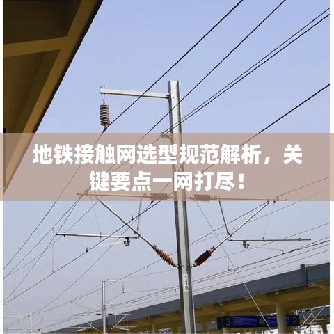 加盟合作 第12页