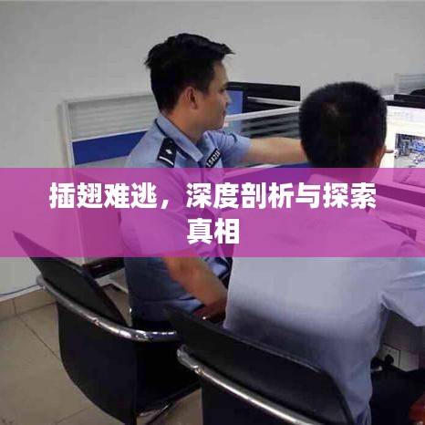 插翅难逃，深度剖析与探索真相
