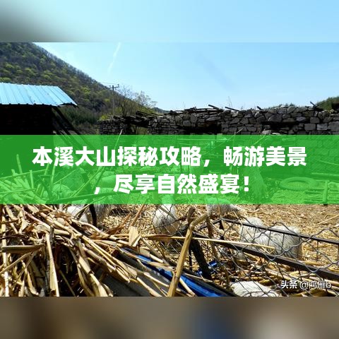 本溪大山探秘攻略，畅游美景，尽享自然盛宴！
