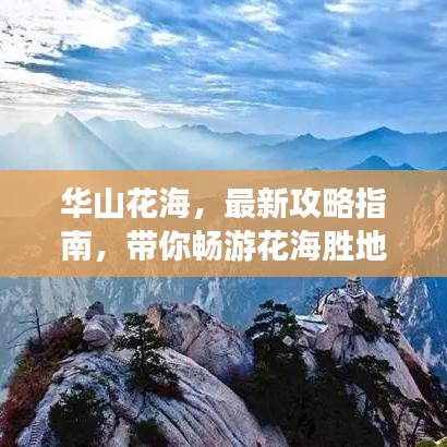华山花海，最新攻略指南，带你畅游花海胜地！