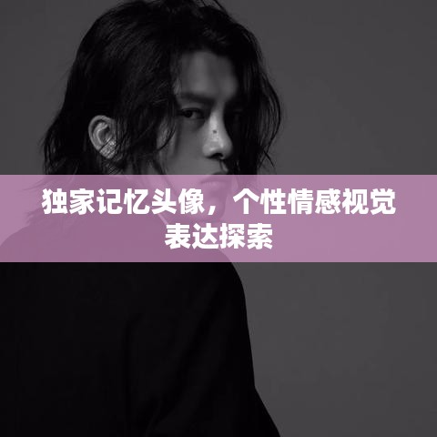 独家记忆头像，个性情感视觉表达探索