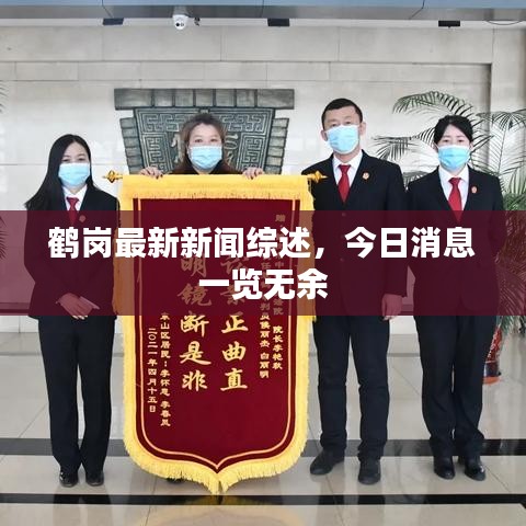 鹤岗最新新闻综述，今日消息一览无余
