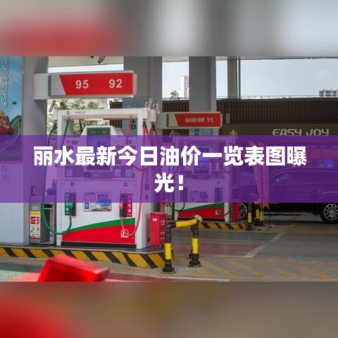 丽水最新今日油价一览表图曝光！