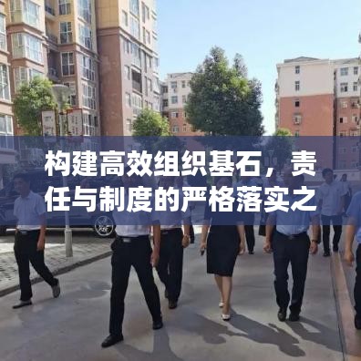 构建高效组织基石，责任与制度的严格落实之道