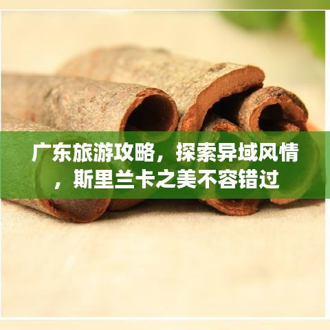 广东旅游攻略，探索异域风情，斯里兰卡之美不容错过
