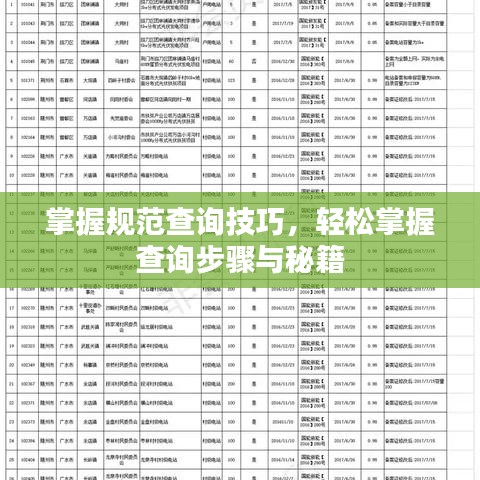 掌握规范查询技巧，轻松掌握查询步骤与秘籍