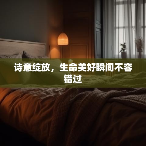 诗意绽放，生命美好瞬间不容错过