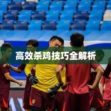 高效杀鸡技巧全解析