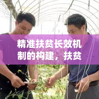 精准扶贫长效机制的构建，扶贫项目库建设的实践与探索