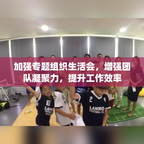 加强专题组织生活会，增强团队凝聚力，提升工作效率