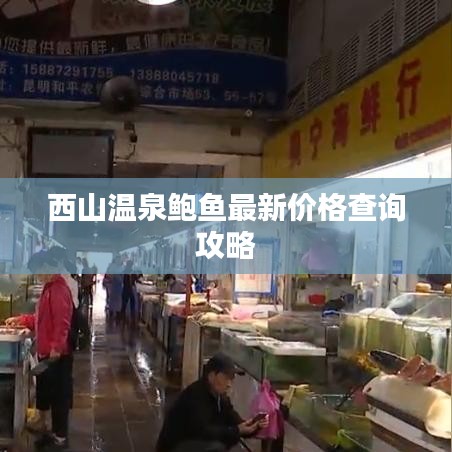 西山温泉鲍鱼最新价格查询攻略