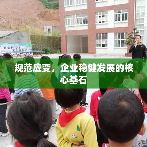规范应变，企业稳健发展的核心基石