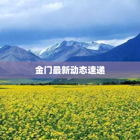 金门最新动态速递