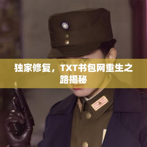 独家修复，TXT书包网重生之路揭秘