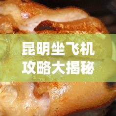 昆明坐飞机攻略大揭秘，轻松出行必备指南！