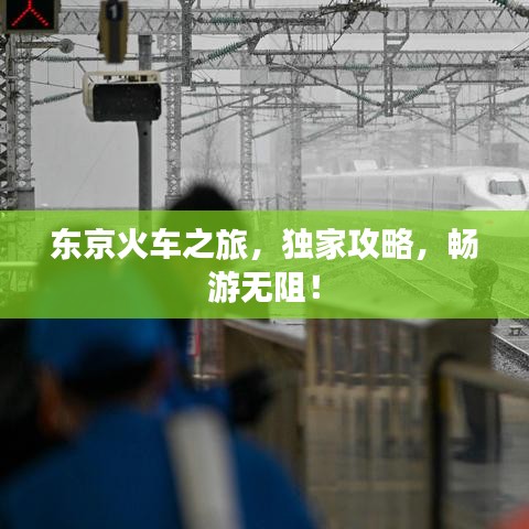 东京火车之旅，独家攻略，畅游无阻！
