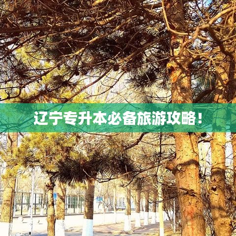 一本正经