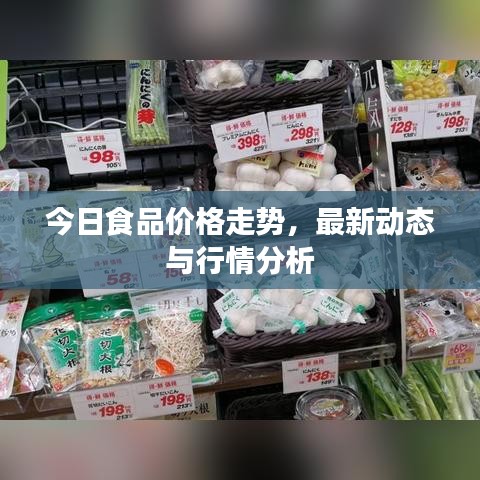 今日食品价格走势，最新动态与行情分析
