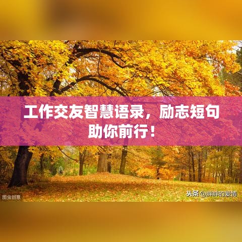 工作交友智慧语录，励志短句助你前行！