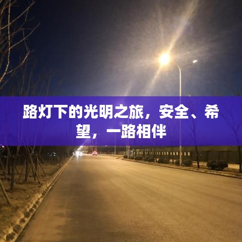 路灯下的光明之旅，安全、希望，一路相伴