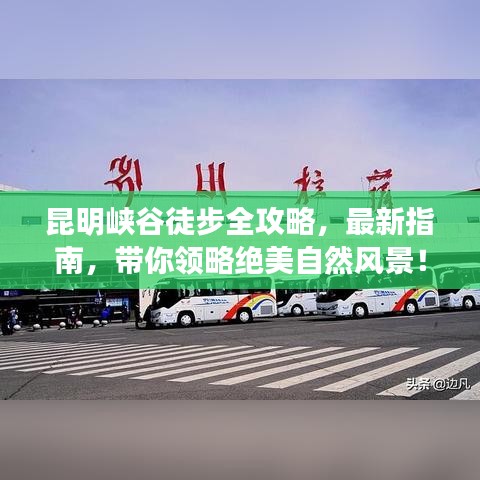 刚毅木讷