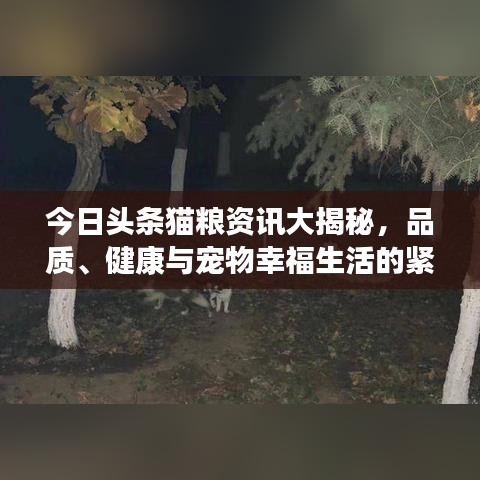 今日头条猫粮资讯大揭秘，品质、健康与宠物幸福生活的紧密关联